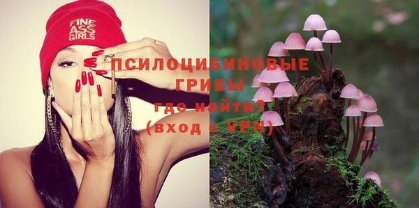 соль ск Вяземский