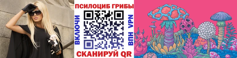 Галлюциногенные грибы Cubensis  Купить закладки  Вятские Поляны 